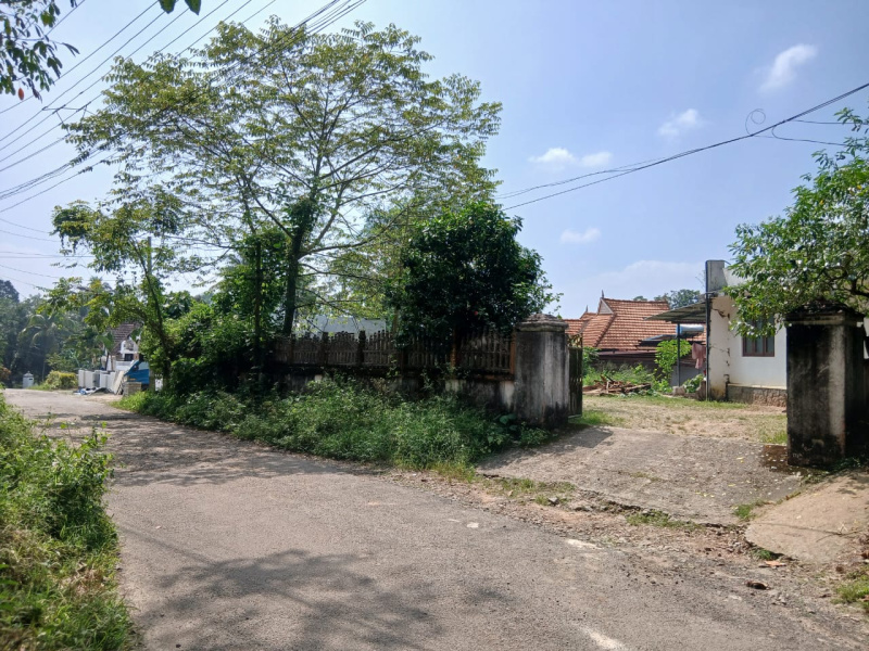 Ettumanoor, Kottayam photo 3