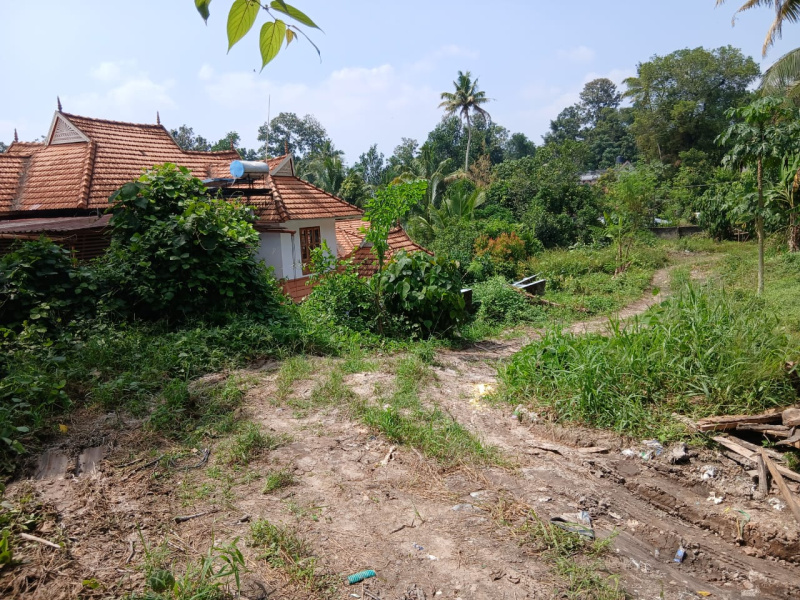 Ettumanoor, Kottayam photo 4