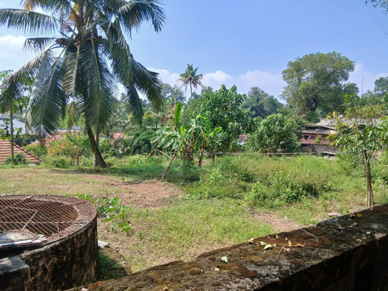 Ettumanoor, Kottayam photo 5