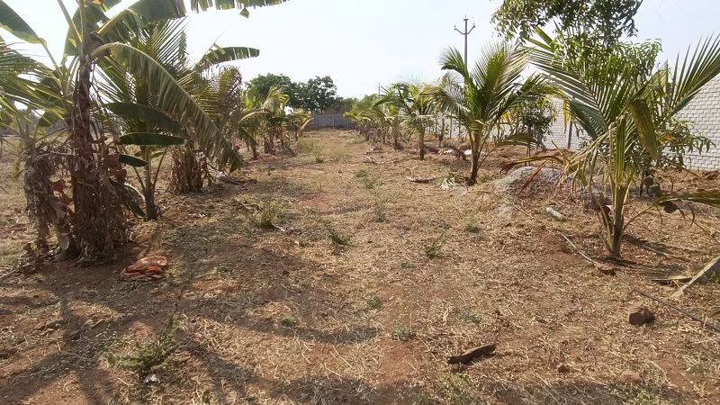  Agricultural Land 242 Sq. Yards for Sale in JP Darga, Kothur, Hyderabad