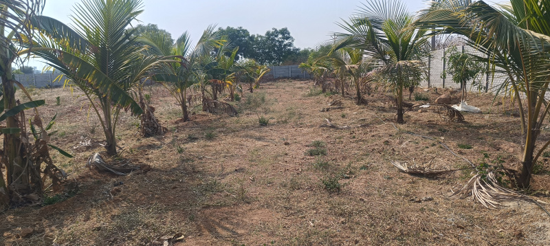  Agricultural Land 242 Sq. Yards for Sale in JP Darga, Kothur, Hyderabad