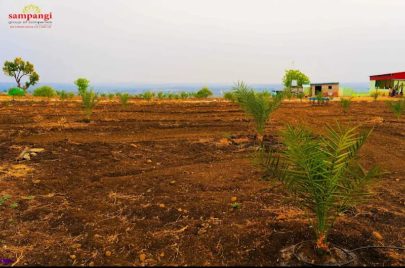  605 Sq. Yards Residential Plot for Sale in Mallepally, Sangareddy