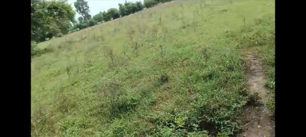  Agricultural Land 3 Bigha for Sale in Savli, Vadodara