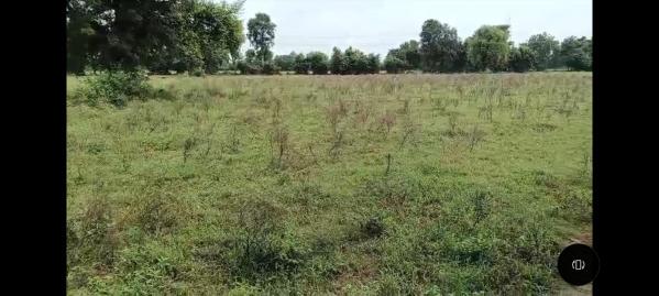  Agricultural Land 3 Bigha for Sale in Savli, Vadodara