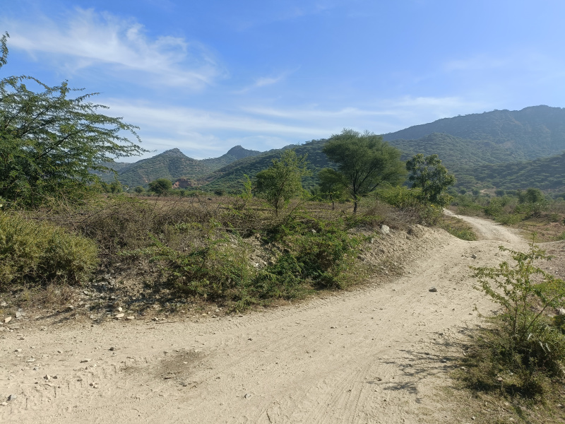  38 Bigha Residential Plot for Sale in Saradhana, Ajmer