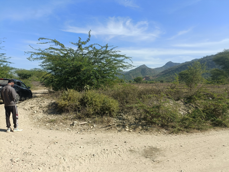  38 Bigha Residential Plot for Sale in Saradhana, Ajmer