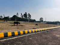  Residential Plot for Sale in Bakshi Ka Talab, Lucknow