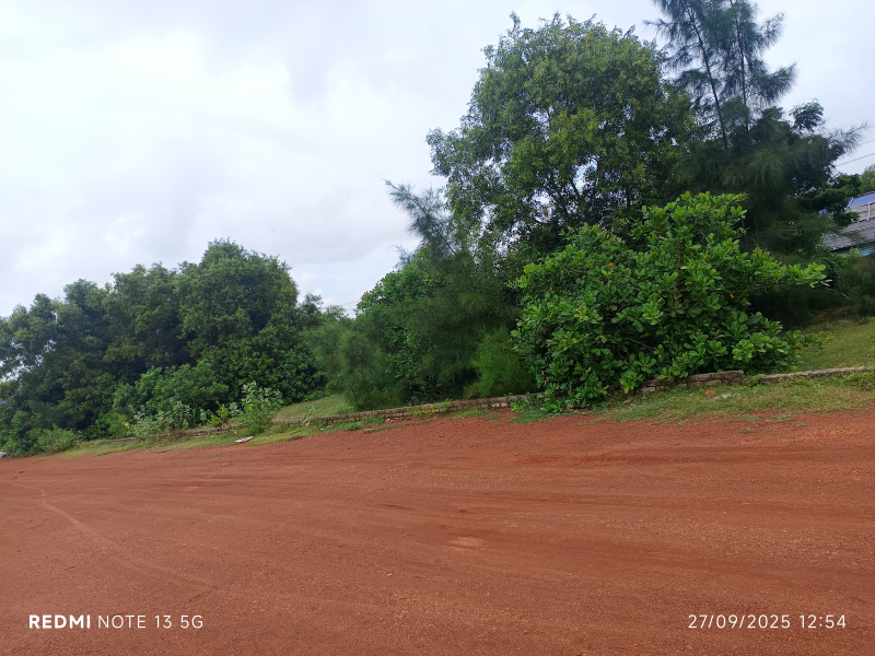 39 Dismil Residential Plot for Sale in Sipasarubali, Puri