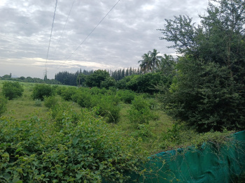  Agricultural Land for Sale in Madavilagam, Karur