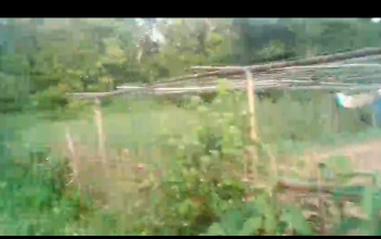  Residential Plot for Sale in Durgabari, Tinsukia