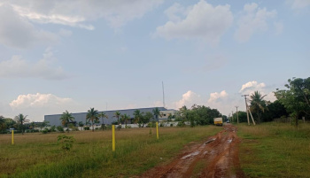 Residential Plot for Sale in Sriperumbudur, Kanchipuram