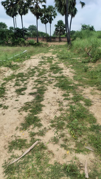  100 Sq. Yards Residential Plot for Sale in Jhalwa, Allahabad