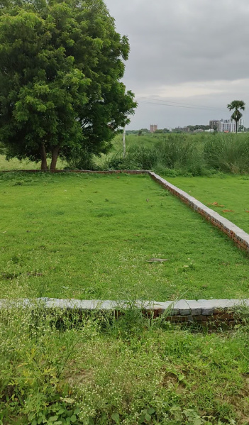  100 Sq. Yards Residential Plot for Sale in Jhalwa, Allahabad