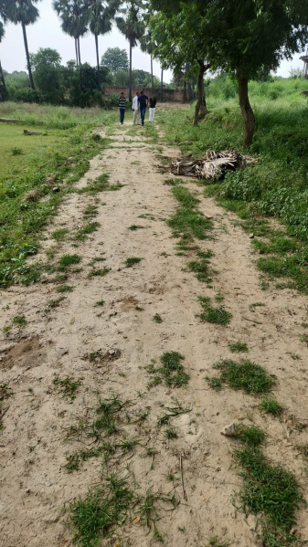  100 Sq. Yards Residential Plot for Sale in Jhalwa, Allahabad