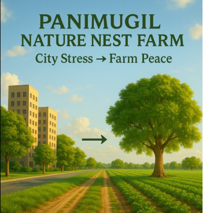  50 Cent Residential Plot for Sale in Kariapatti, Virudhunagar