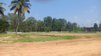  Residential Plot for Sale in Bidadi, Bangalore
