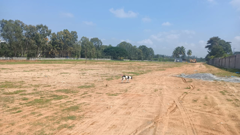  1200 Sq.ft. Residential Plot for Sale in Bidadi, Bangalore
