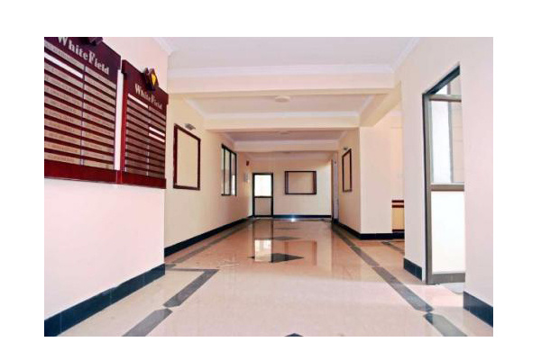 2 BHK 700 Sq.ft. Apartment for Rent in Kaloor, Kochi