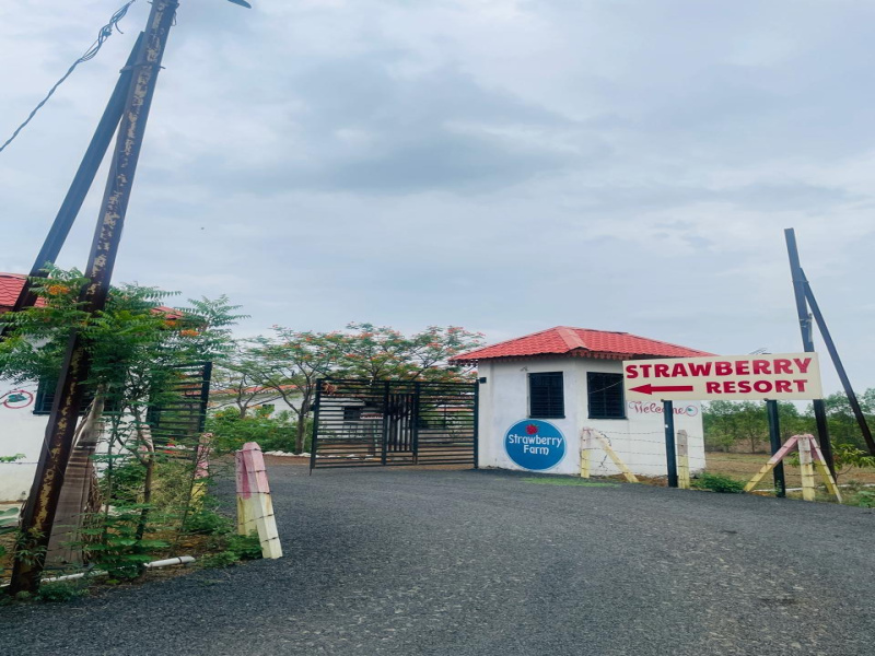 1 RK 1000 Sq.ft. Farm House for Sale in Kachimet, Nagpur