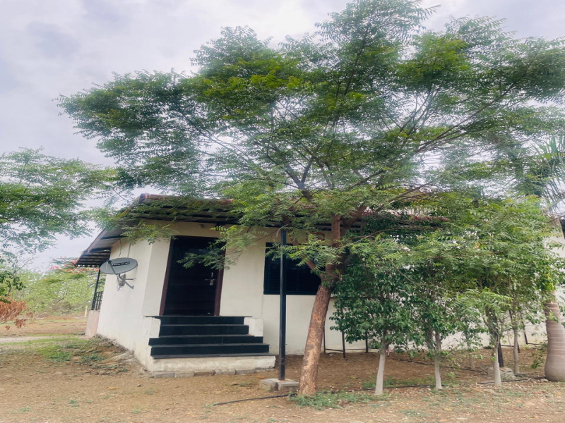 1 RK 1000 Sq.ft. Farm House for Sale in Kachimet, Nagpur