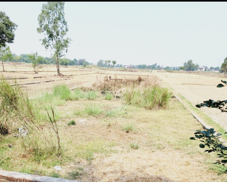 4360 Sq.ft. Residential Plot for Sale in Medical Road, Gorakhpur