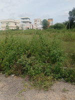  Residential Plot for Sale in Pothreddipalle, Sangareddy