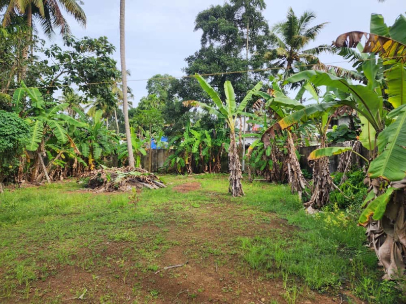  10 Cent Residential Plot for Sale in Ambalapuzha, Alappuzha