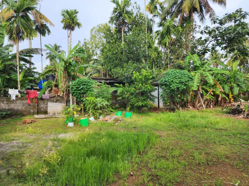  10 Cent Residential Plot for Sale in Ambalapuzha, Alappuzha