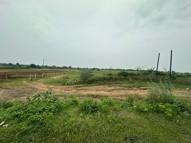  74200 Sq.ft. Industrial Land for Rent in Tekanpur, Gwalior
