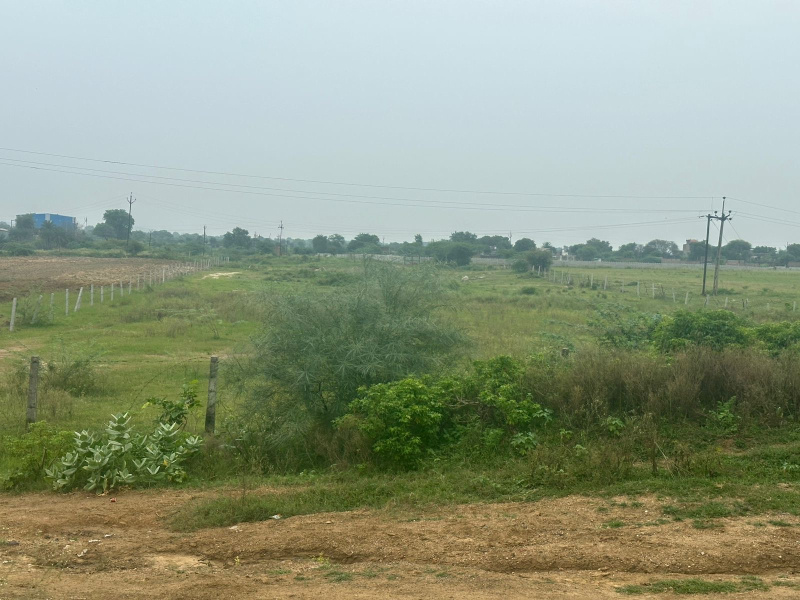  74200 Sq.ft. Industrial Land for Rent in Tekanpur, Gwalior