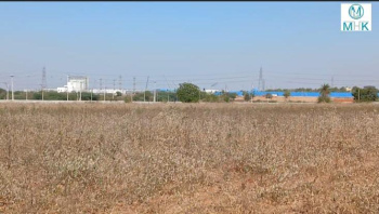  Agricultural Land for Rent in Kolluru, Hyderabad