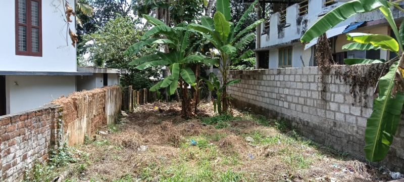  8 Cent Residential Plot for Sale in Pappanamcode, Thiruvananthapuram