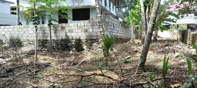 8 Cent Residential Plot for Sale in Pappanamcode, Thiruvananthapuram