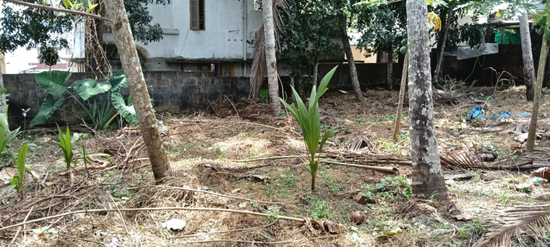  8 Cent Residential Plot for Sale in Pappanamcode, Thiruvananthapuram