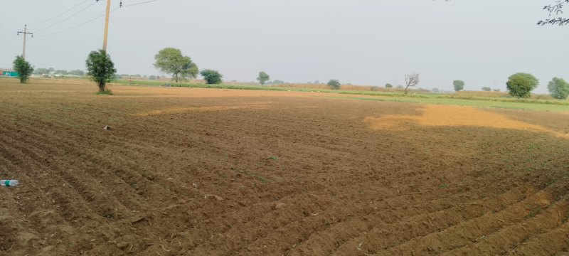  13 Acre Agricultural/Farm Land for Sale in Ferozepur Jhirka, Nuh