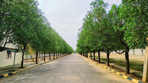  4920 Sq.ft. Residential Plot for Sale in Soukya Road, Bangalore