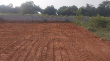  Residential Plot for Sale in Veerappa Nagar, Krishnagiri
