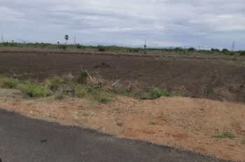  Agricultural Land for Sale in Hiriyur, Chitradurga