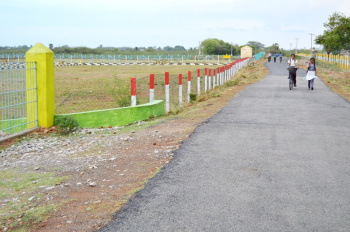  Residential Plot for Sale in Thiruvalangadu, Chennai