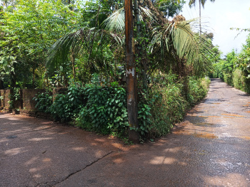  Residential Plot for Sale in Chala, Kannur