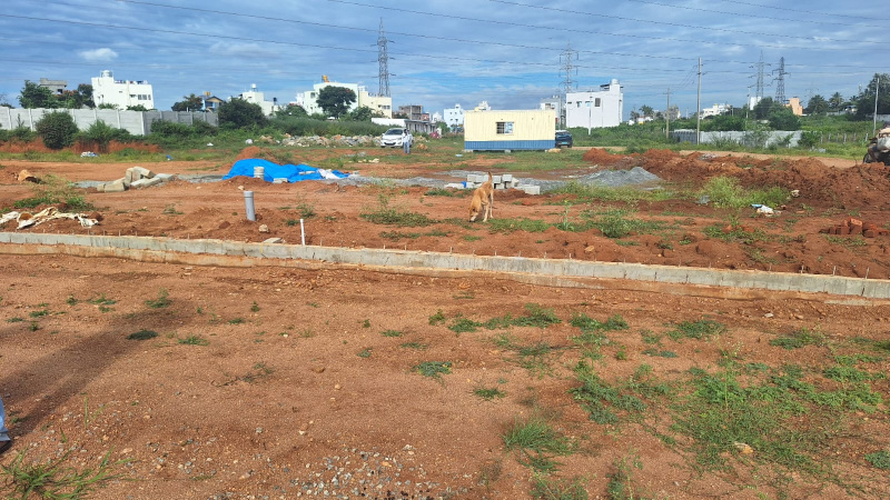  1200 Sq.ft. Residential Plot for Sale in Arasinakunte, Nelamangala, Bangalore