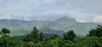 Residential Plot for Sale in Pali, Raigad