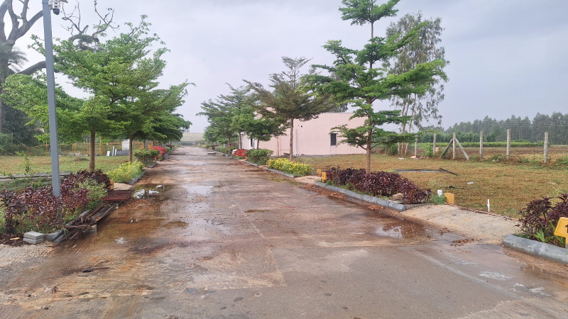  3199 Sq.ft. Residential Plot for Sale in Anekal Road, Bangalore