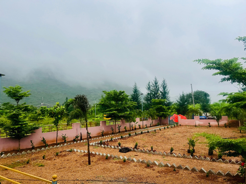  1800 Sq.ft. Residential Plot for Sale in Phirangipuram, Guntur