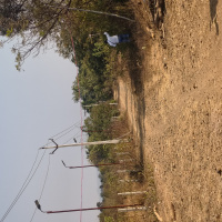  Agricultural Land for Sale in Saliwada, Jabalpur
