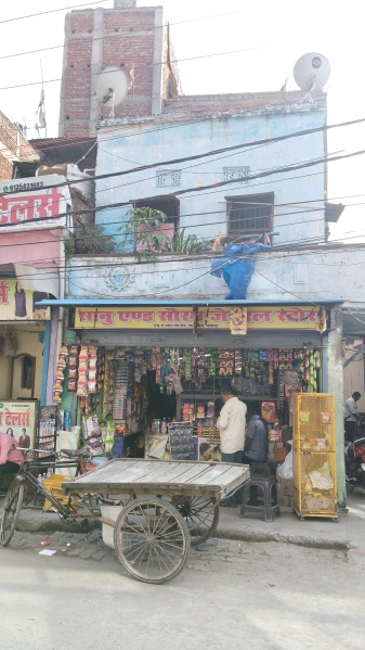 Mirzapur, Darbhanga photo 3