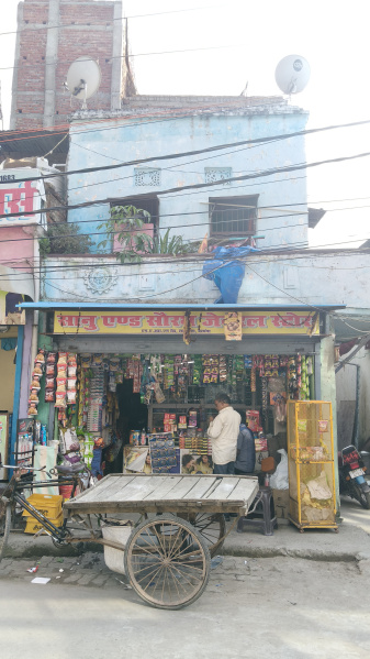 Mirzapur, Darbhanga photo 4
