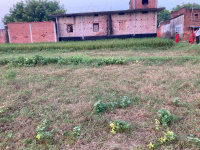 Residential Plot for Sale in Cholapur, Varanasi