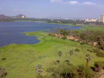  Residential Plot for Sale in Powai, Mumbai