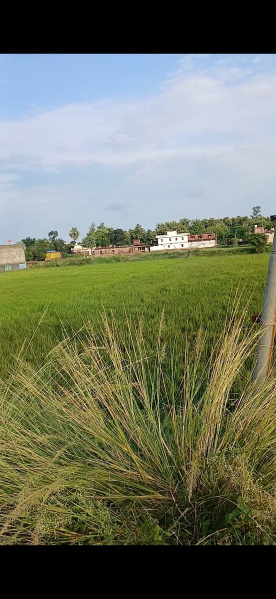  2 Bigha Residential Plot for Sale in Sahjanwa, Gorakhpur
